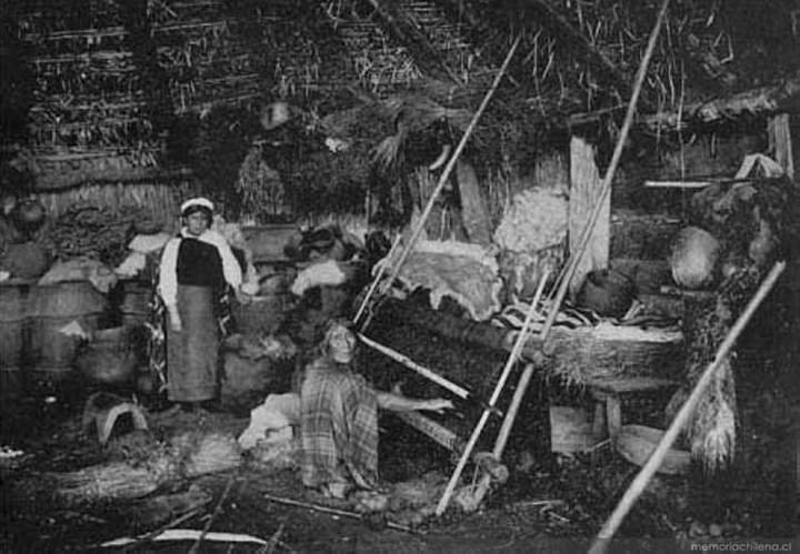 El pueblo Mapuche El pueblo Mapuche