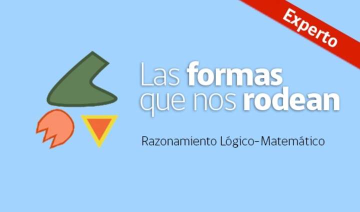 Las formas que nos rodean (Experto)