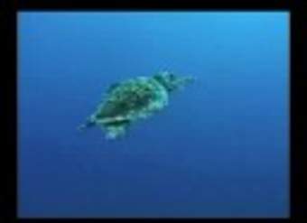 Puntos calientes de Hawai: estudios volcánicos submarinos