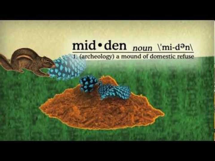 Simbiosis: una sorprendente historia de cooperación entre especies Simbiosis: una sorprendente historia de cooperación entre especies