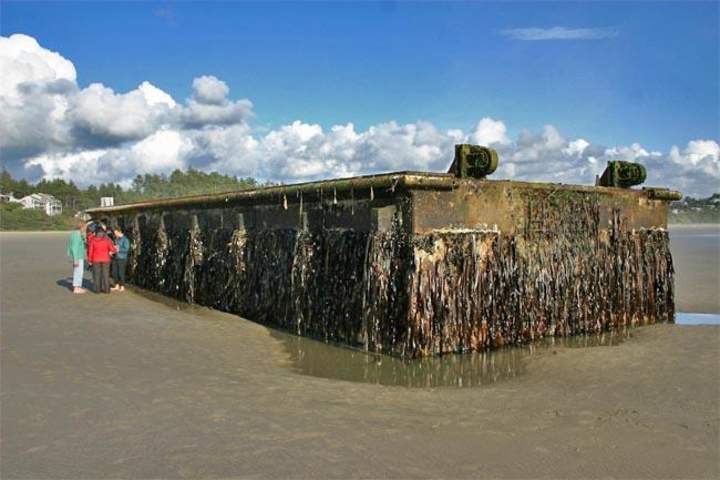 Muelle japonés Muelle japonés