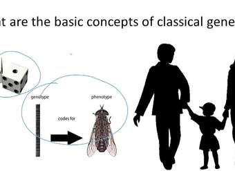 Términos y conceptos básicos de genética: descripción general