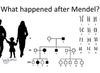 Más allá de Mendel - Descripción general