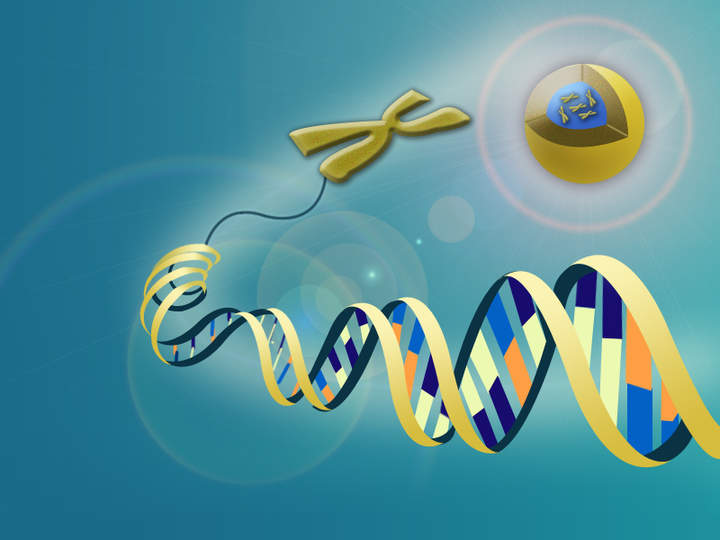 Descripción general de la genética molecular Descripción general de la genética molecular