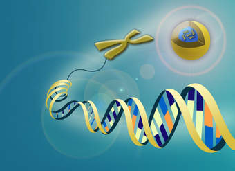 Descripción general de la genética molecular