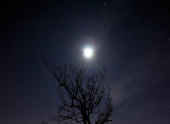 Fases lunares