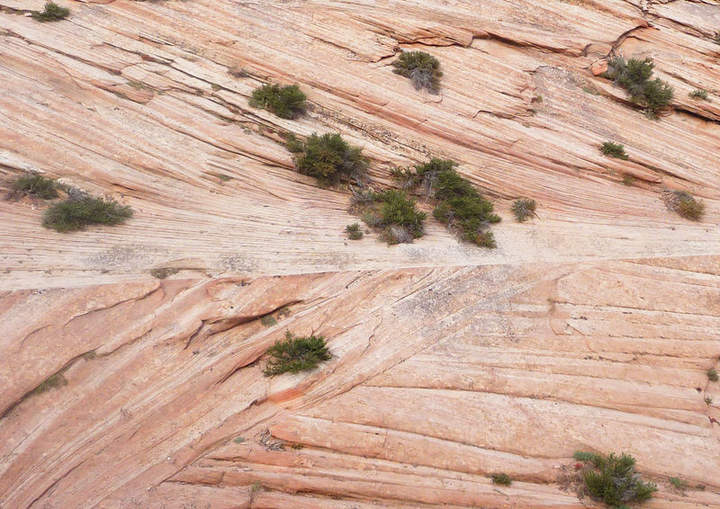 Litificación de rocas sedimentarias Litificación de rocas sedimentarias