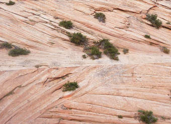 Litificación de rocas sedimentarias