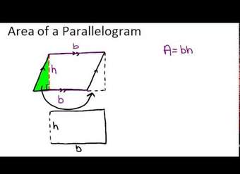 Área de los principios de un paralelogramo