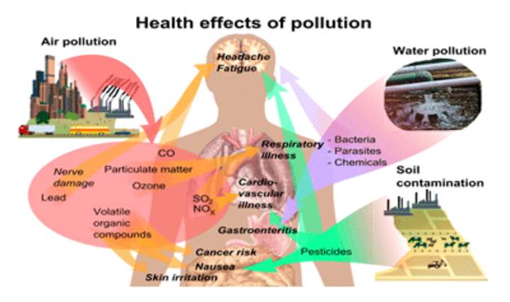 La contaminación del agua y el riesgo de salud pública que envuelve a Greenville, Carolina del Norte, EE. UU.