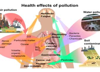 La contaminación del agua y el riesgo de salud pública que envuelve a Greenville, Carolina del Norte, EE. UU.