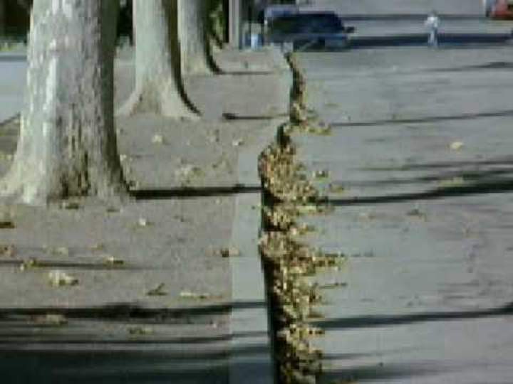 Falla de San Andreas Falla de San Andreas
