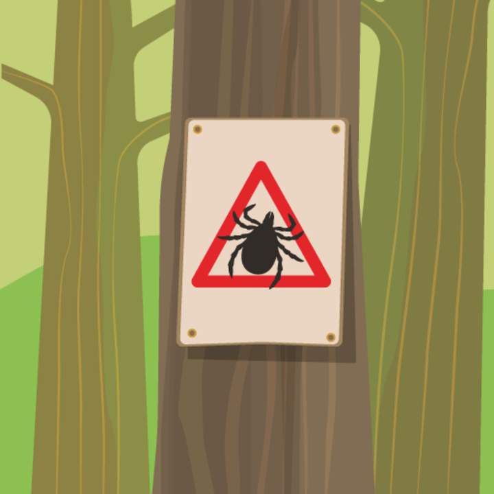 Comenzó en Lyme Comenzó en Lyme