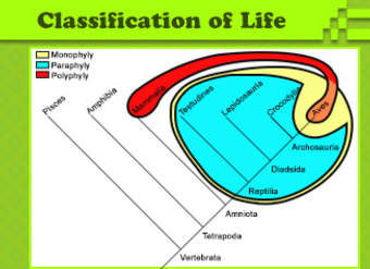 Clasificación de la vida