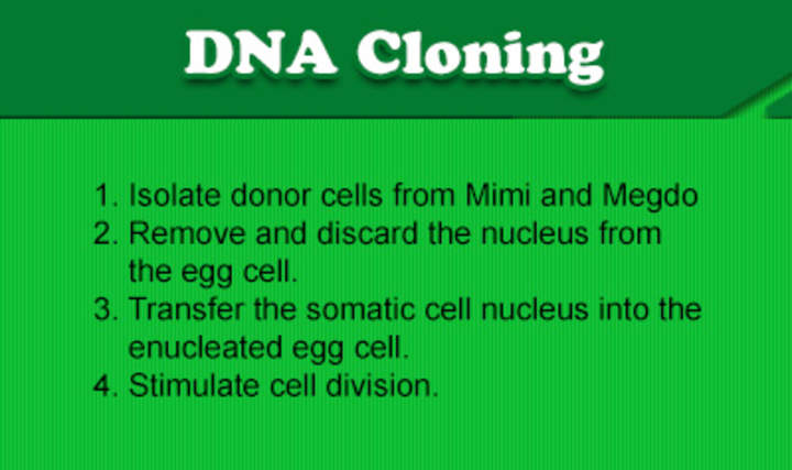 Clonación de ADN Clonación de ADN