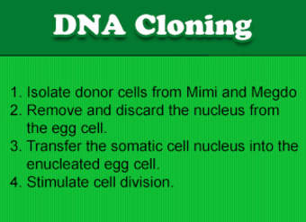 Clonación de ADN