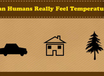 Transferencia de calor, temperatura y energía térmica