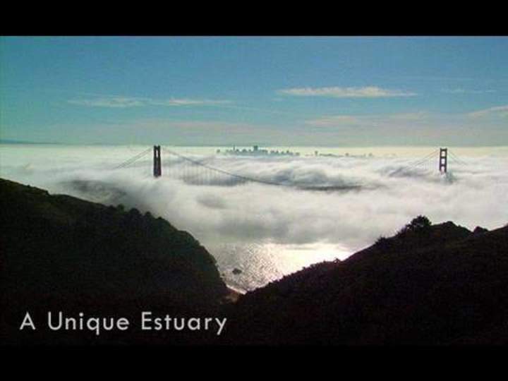 Salvar la bahía - Bahía de San Francisco: un estuario único Salvar la bahía - Bahía de San Francisco: un estuario único