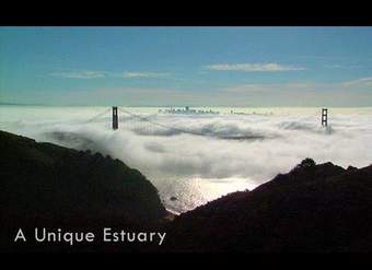 Salvar la bahía - Bahía de San Francisco: un estuario único