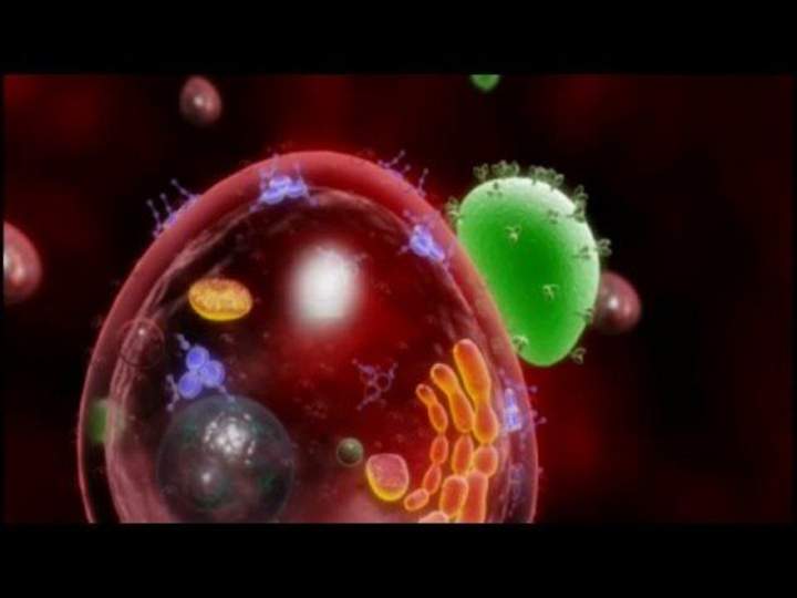 Investigación sobre el VIH: más allá de la vacuna Investigación sobre el VIH: más allá de la vacuna