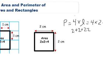 Área básica y perímetro de cuadrados y rectángulos: descripción general