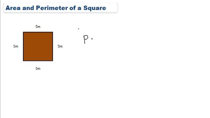 Área y perímetro de la plaza: descripción general