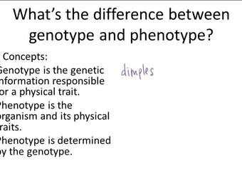 Términos y conceptos básicos de genética - Ejemplo 3