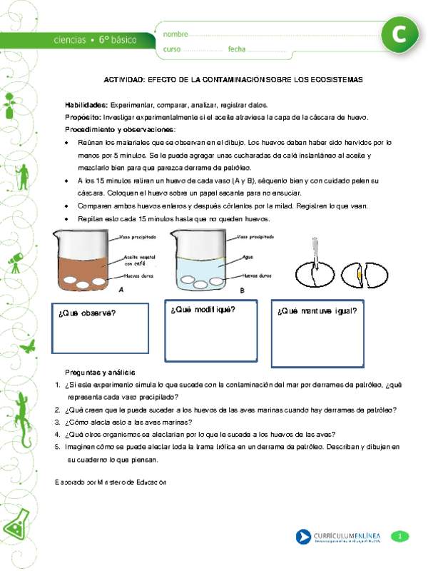 Contaminación y ecosistema