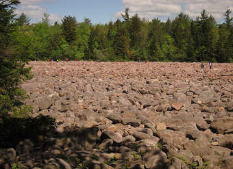 Hickory Run Boulder Field