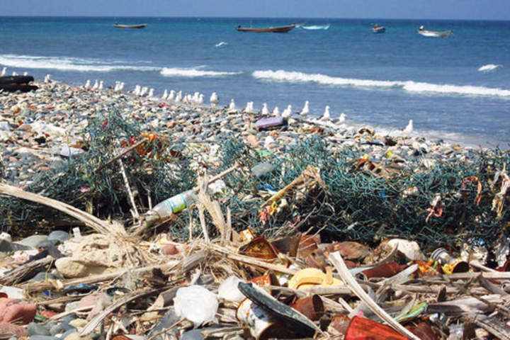 El plastisferio El plastisferio
