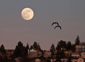 La ilusión de la luna