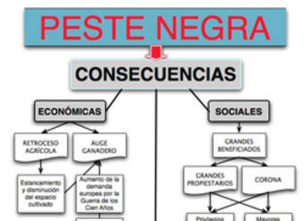 Mapa conceptual consecuencias peste negra