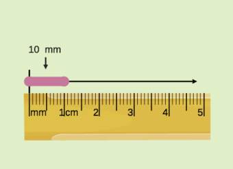 Sistema métrico: Gusano elástico