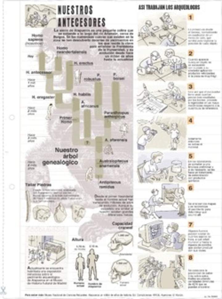 Trabajo de los arqueólogos