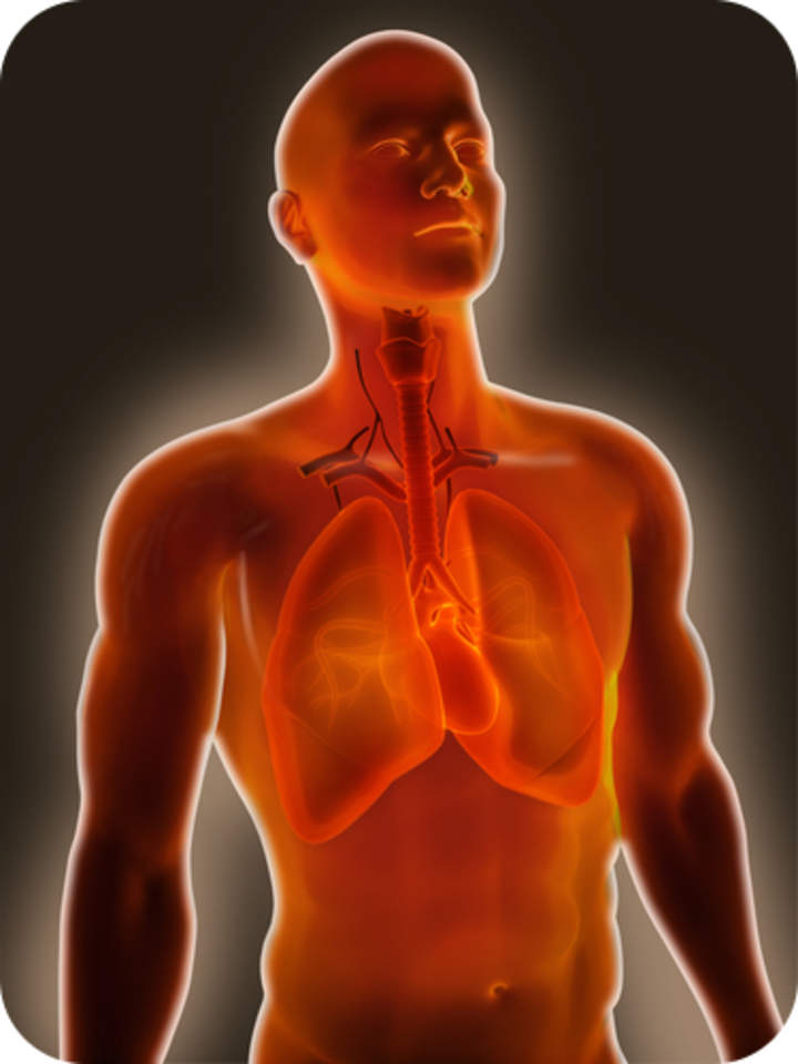 Enfermedades y trastornos del sistema respiratorio - Avanzado