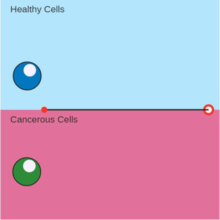 Cáncer: crecimiento de células cancerosas Cáncer: crecimiento de células cancerosas