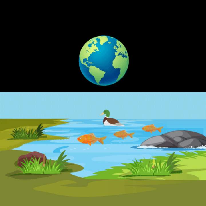 Introducción a la ecología Introducción a la ecología