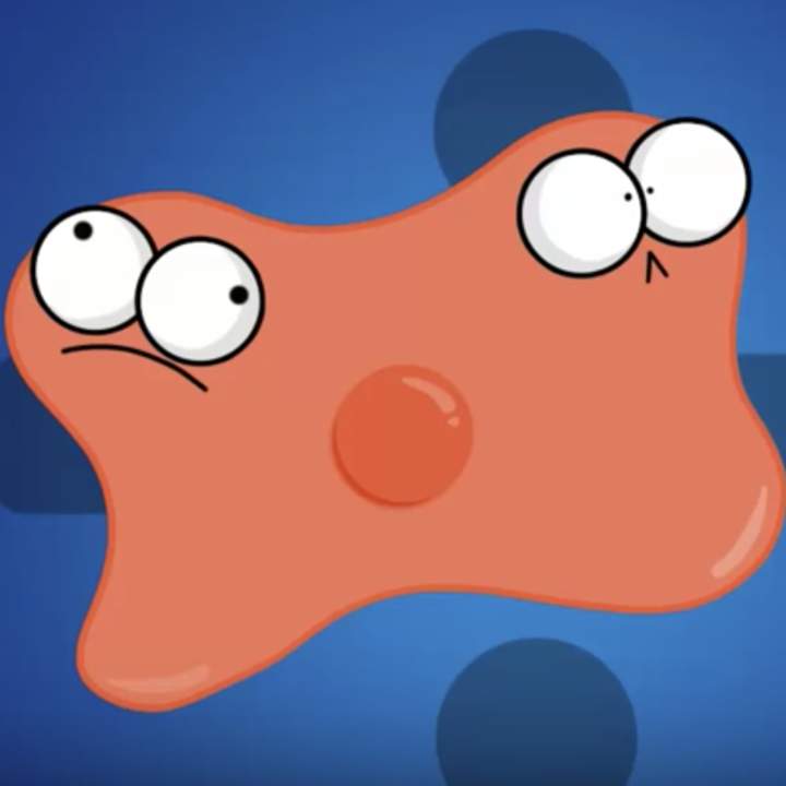 Mitosis: ¡el asombroso proceso celular que usa la división para multiplicarse! Mitosis: ¡el asombroso proceso celular que usa la división para multiplicarse!