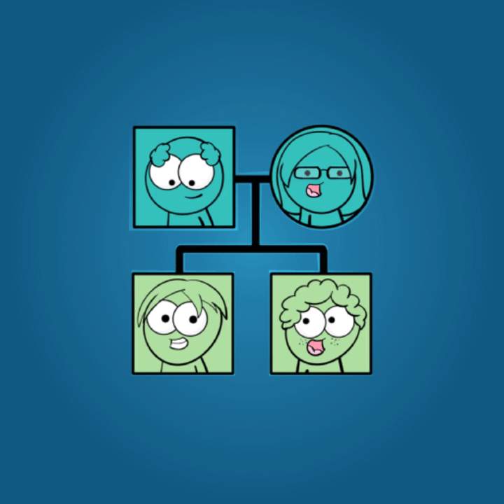 Mitosis Mitosis