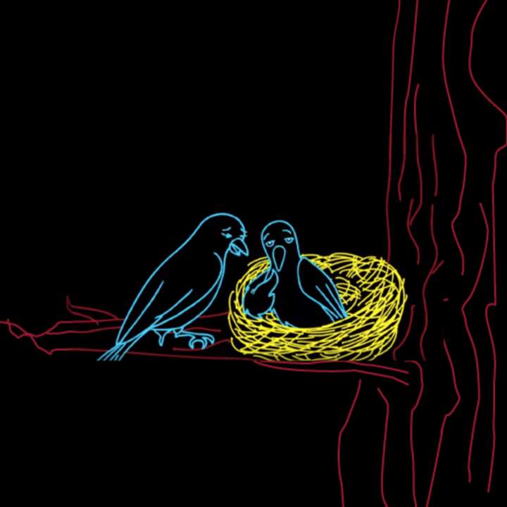 Determinación del sexo: más complicado de lo que pensabas Determinación del sexo: más complicado de lo que pensabas