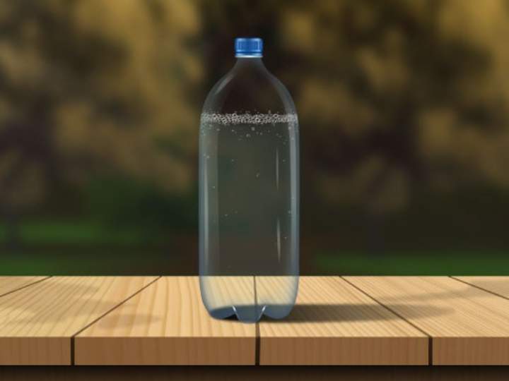 Refresco plano o gaseoso Refresco plano o gaseoso