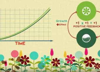 Bucles de retroalimentación: cómo la naturaleza obtiene sus ritmos