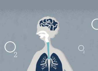 ¿Qué hacen los pulmones?