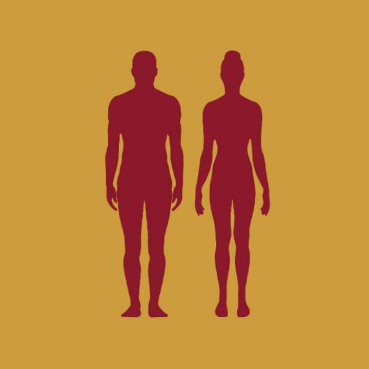Diferenciación sexual Diferenciación sexual