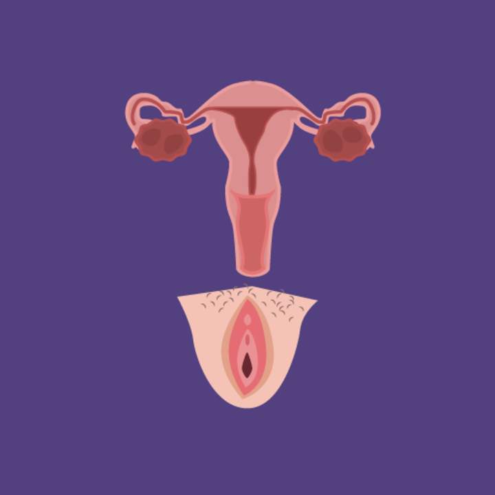 Sistema reproductivo femenino hecho fácil Sistema reproductivo femenino hecho fácil