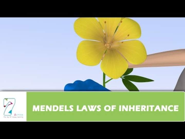 LEYES DE HERENCIA DE MENDEL