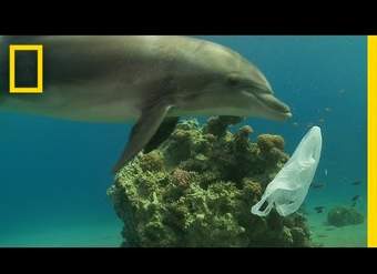 Cómo podemos mantener los plásticos fuera de nuestro océano | National Geographic