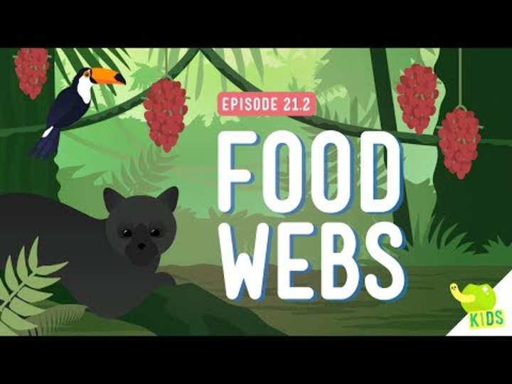 Webs de alimentos Webs de alimentos