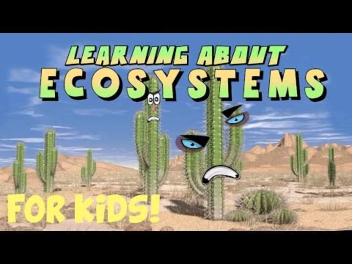 Aprendiendo sobre los ecosistemas Aprendiendo sobre los ecosistemas