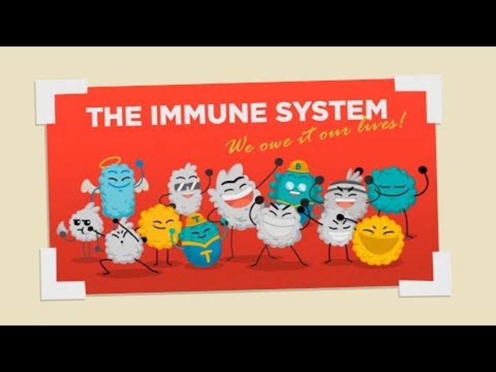 ¿Cómo funciona tu sistema inmunológico? ¿Cómo funciona tu sistema inmunológico?